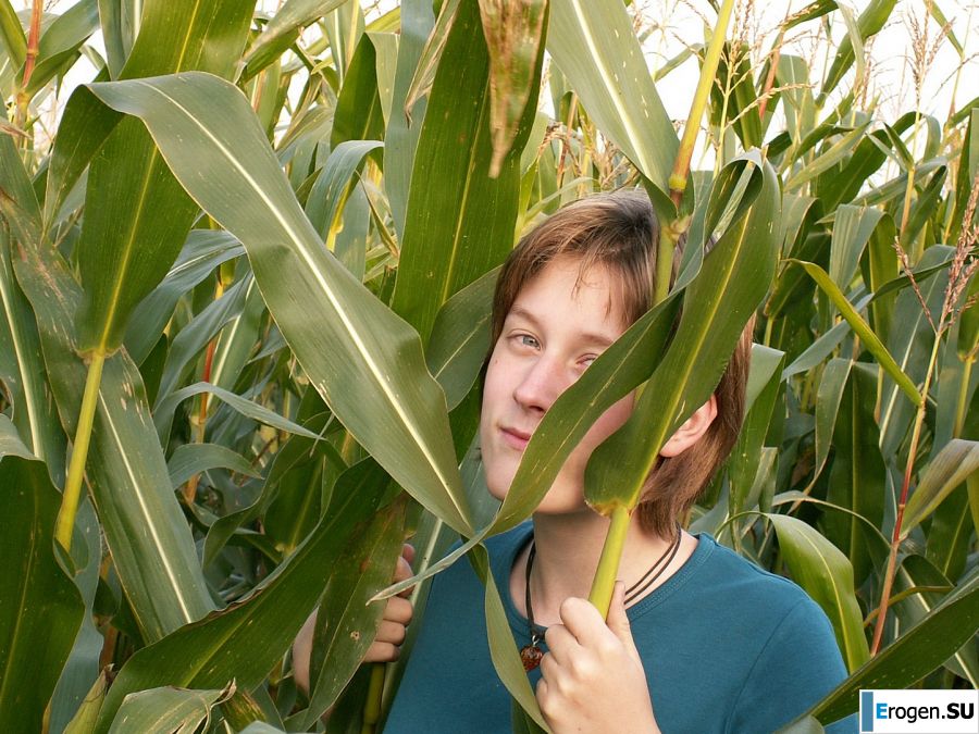 Худенькая студентка ублажает себя кукурузой прямо в поле. Фото 2