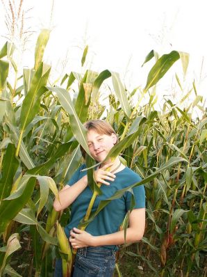 A thin student pleases herself with corn right in the field. Thumb 3